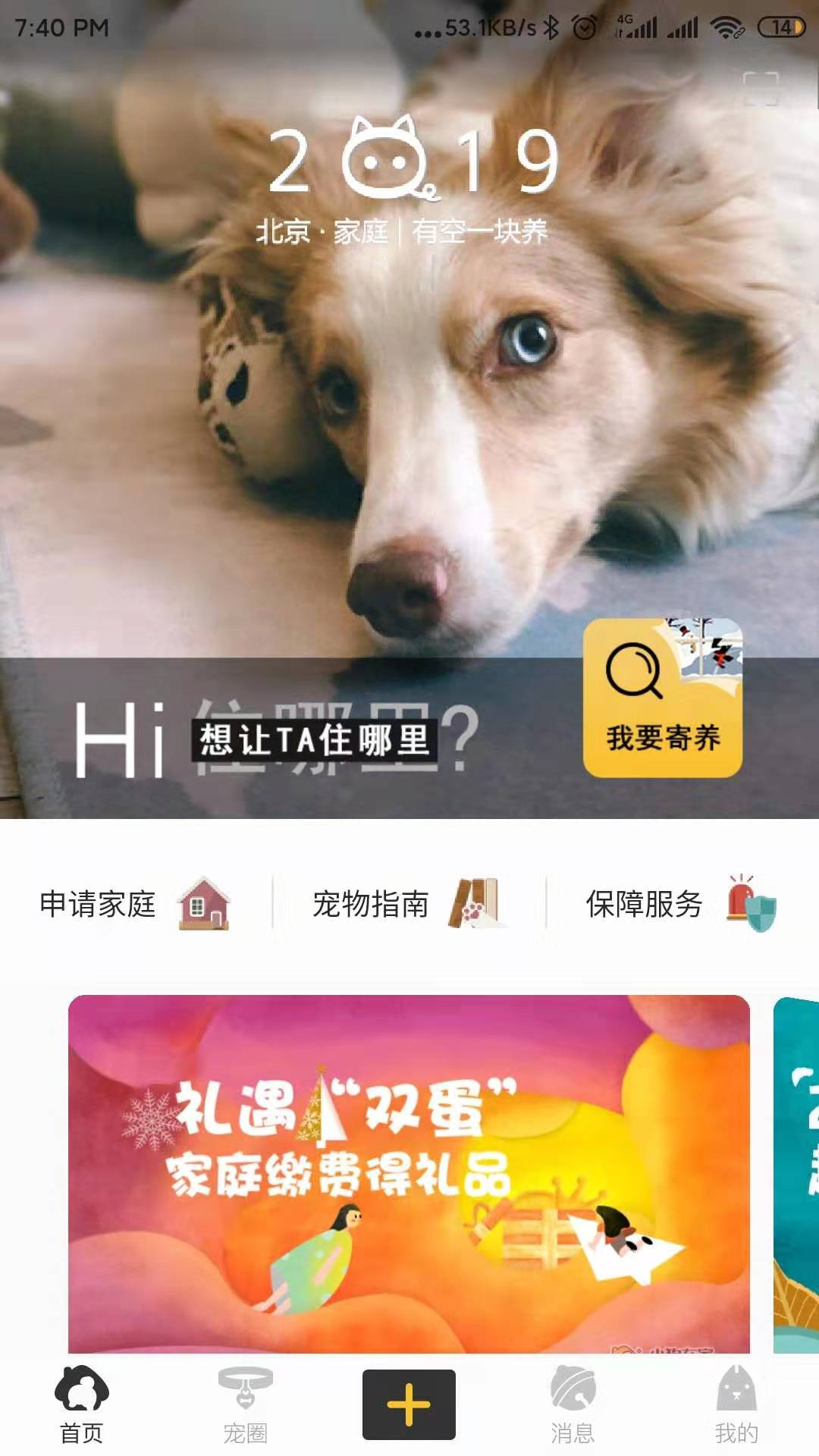 doginhome